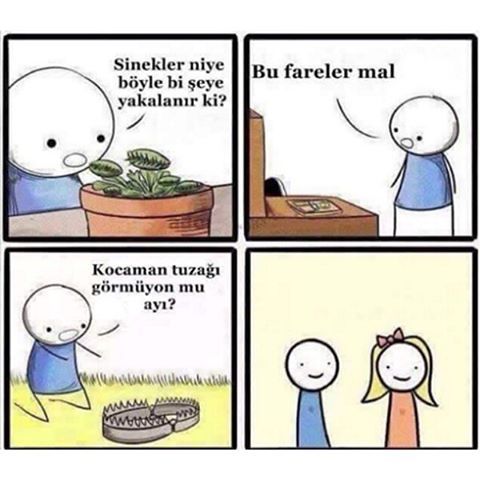 - Sinekler niye böyle bi...