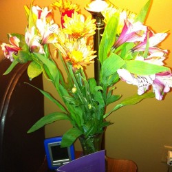 My wife got me flowers for my 42nd birthday. (at Blinn/Kelley Home)