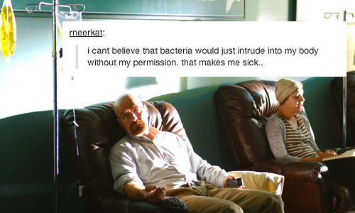 officialgusfringmoved-deactivat:  breaking bad + tumblr text posts (2/?) x 