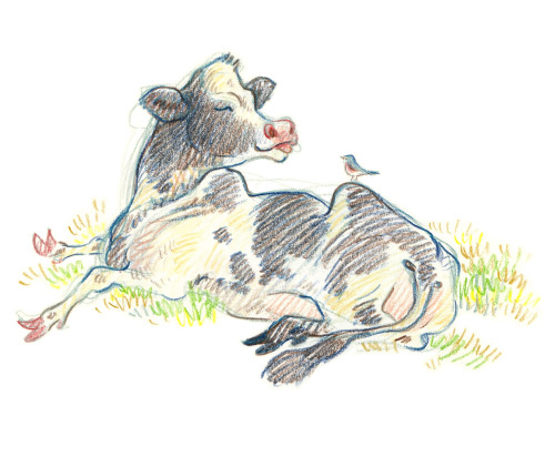 Drawing Ungulates Making This Face Is Like Macaroni And Cheese To My Soul~