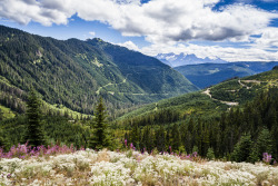 toofarnorth:  Cheam Mountain at the end of Chipmunk Forest Service Road - toofarnorth 