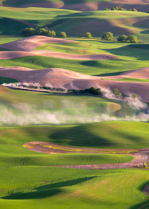 theencompassingworld:  enantiodromija:   Dusty Roads by Ray Green     The World Around Us