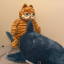 garfunkle-is-hungry