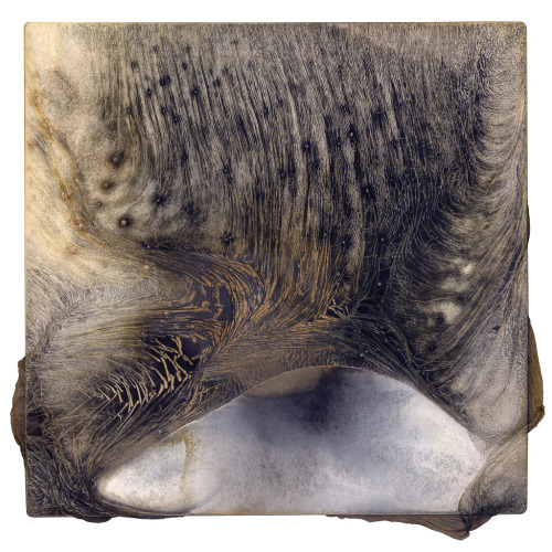 likeafieldmouse:Brittany Nelson - Mordancage III