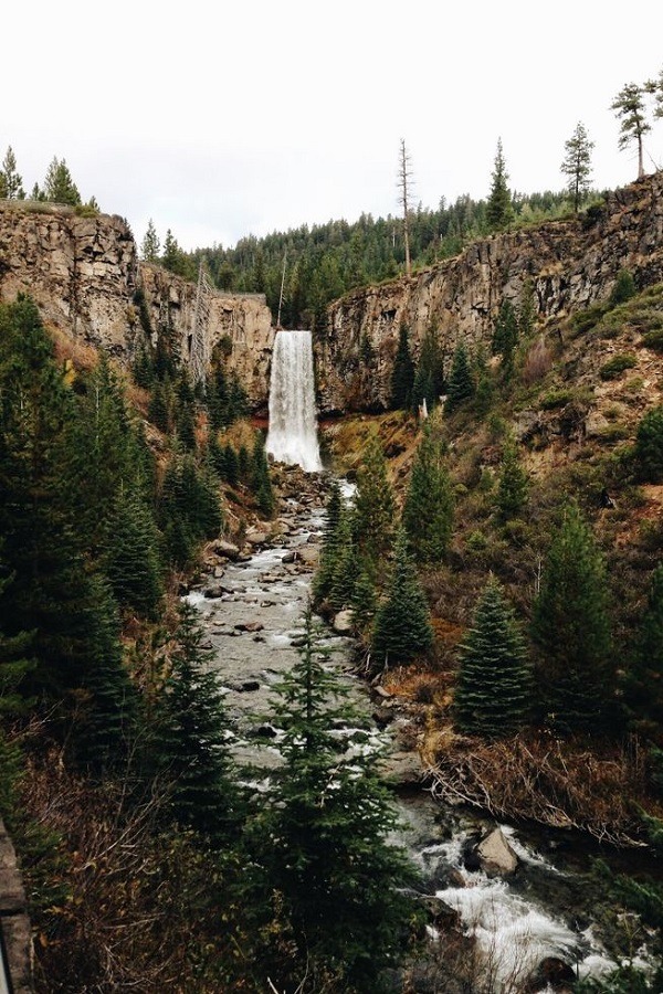 vhord:  zoe-rh:  lastinq:  //nature//  welcome to earth  strictly nature