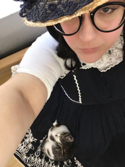 fungizombiestar: Went to a kitty cafe lolita tea meet up! Made all little friend!  Jsk: haenuli my f