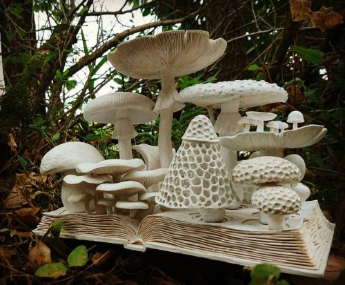 akihiko916:「musloombook」2016#きのこ #木彫 #彫刻 #本 #小島秋彦 #musloom #fungi #book #akihikokojima #woodsculptur