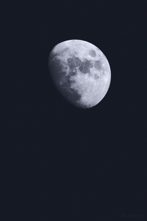 Gibbous By Abi Ashra (Tumblr)