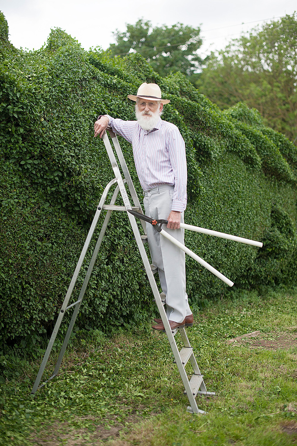 rnanflesh:  itscolossal:  Man Spends a Decade Transforming a Hedge into a Massive