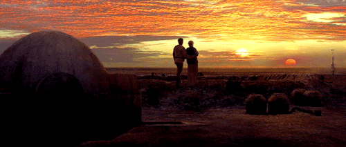 Skywalker, Still Looking To The Horizon. Never Here, Now, Hmm?