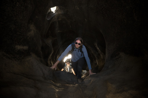 GIANT SEQUOIA NATIONAL PARK ADVENTUREThis year for my brother’s birthday we went to Giant Sequ