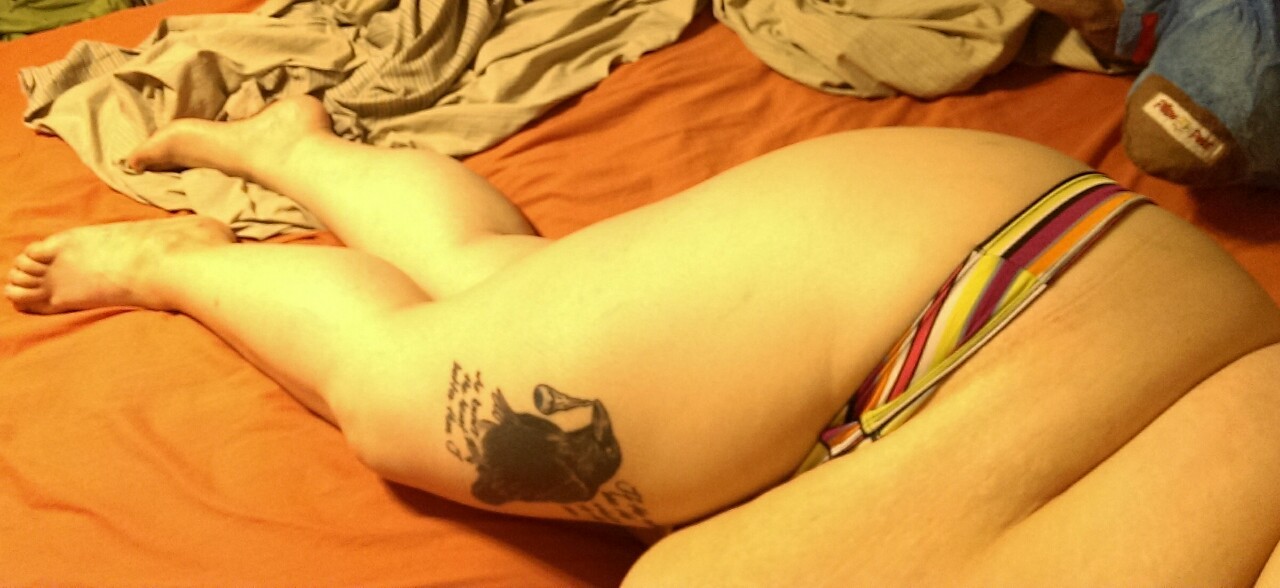 plush-dragon:  plush-dragon:  Legs  More legs