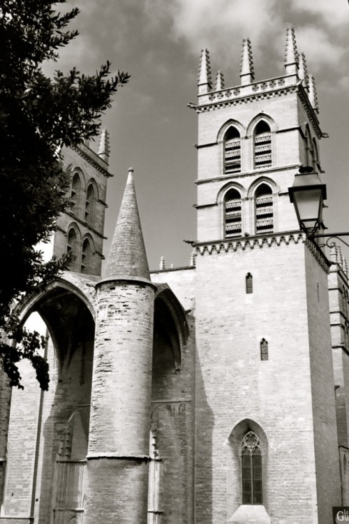 Tours, cathédrale de Montpellier, France, 2005.If the cathedral looks a little like a fortress, that