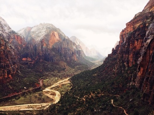 alpenglower:  thank you zion for being a shining light on this rainy day ⛈