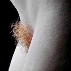 sultry-redheads: