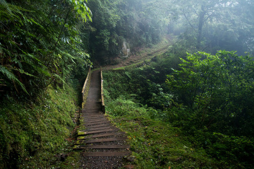90377:  嘉義．特富野古道行_026 by teamo001314 on Flickr. 