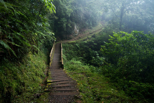 90377: 嘉義．特富野古道行_026 by teamo001314 on Flickr.