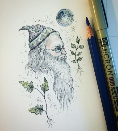 Albus and his long crooked nose #cute #illustration #ink #albusdumbledore #wizard #wizardingworldofh