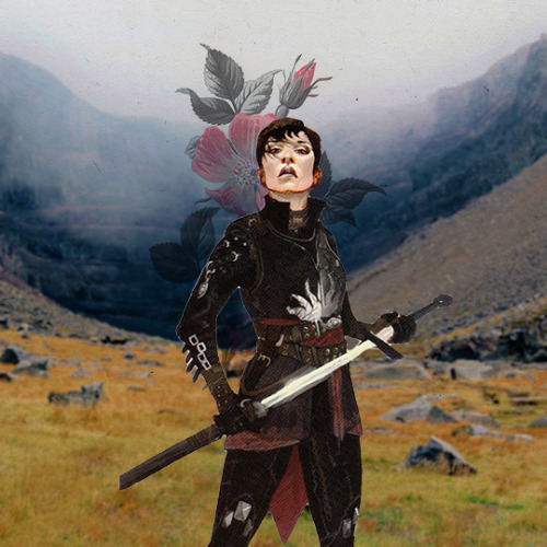 harrumphandhuzzah:ultimate dragon age meme: [four/five warriors]CASSANDRA ALLEGRA PORTIA CALOGERA FI