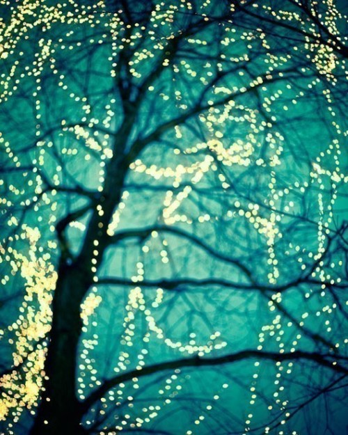 kvknowsherfun:ral-across-the-universe:Winter LightsI need more twinkle lights in my life