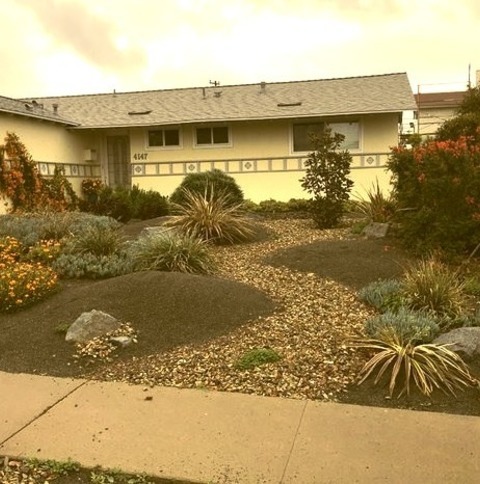 Tropical Landscape - Front YardImage Of A Medium-sized Tropical Front Yard With Gravel Landscaping That