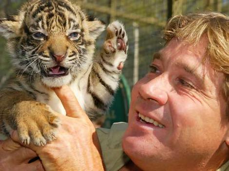 one-mandrinkinggamess:Do you ever just stop and think:“I really miss Steve Irwin”  ?