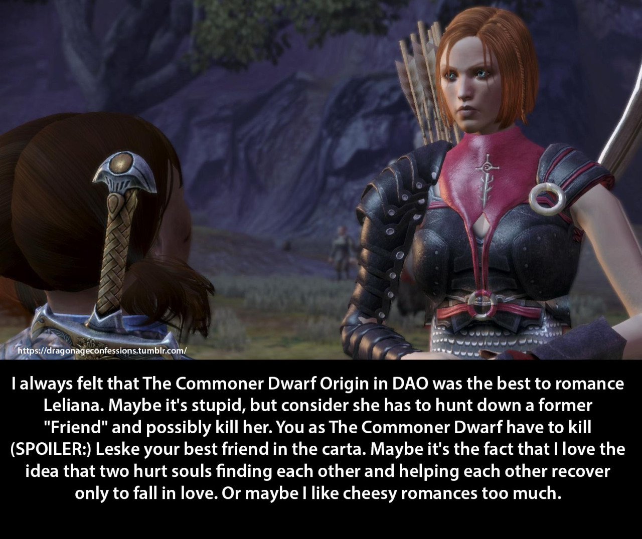 Dragon Age: Origins Wynne comments on Leliana romance #1 