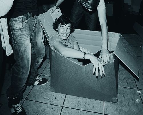 the pure unadulterated joy in Harry’s expression as he is unpacked from his box