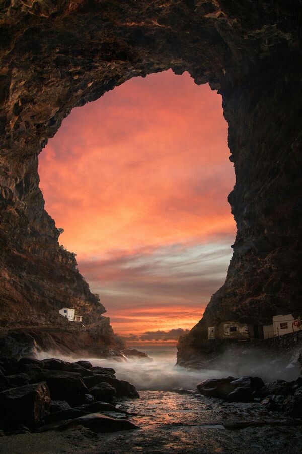 orchidaaorchid:  ‘Prois de Candelaria’ by Florencio Barroso