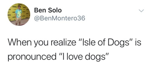 i love dogs