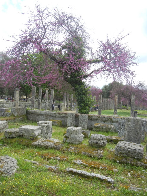 cantshinewith0utdarkness: Some pictures from my trip to Ancient Olympia