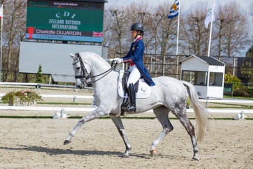 dressageshowjumpingeventing: CDI Zeeland outdoor international - Charlotte Dujardin & Florentina