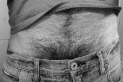 Hot Hairy Men