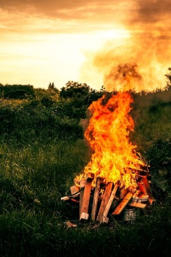 wavemotions:Bonfire by Kasper Nymann