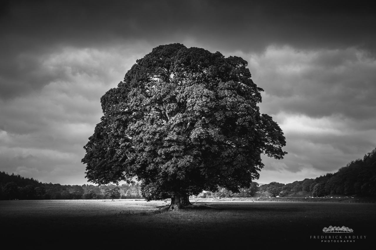 freddie-photography:  The UK always seems to put on a beautiful show. Photographed