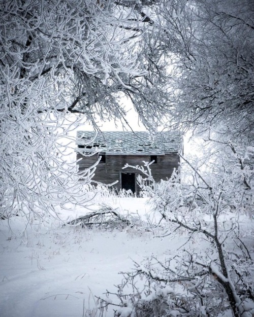 Another shot from the other day with the hoar frost. Pretty sure I shot this at f/11 and I regret th