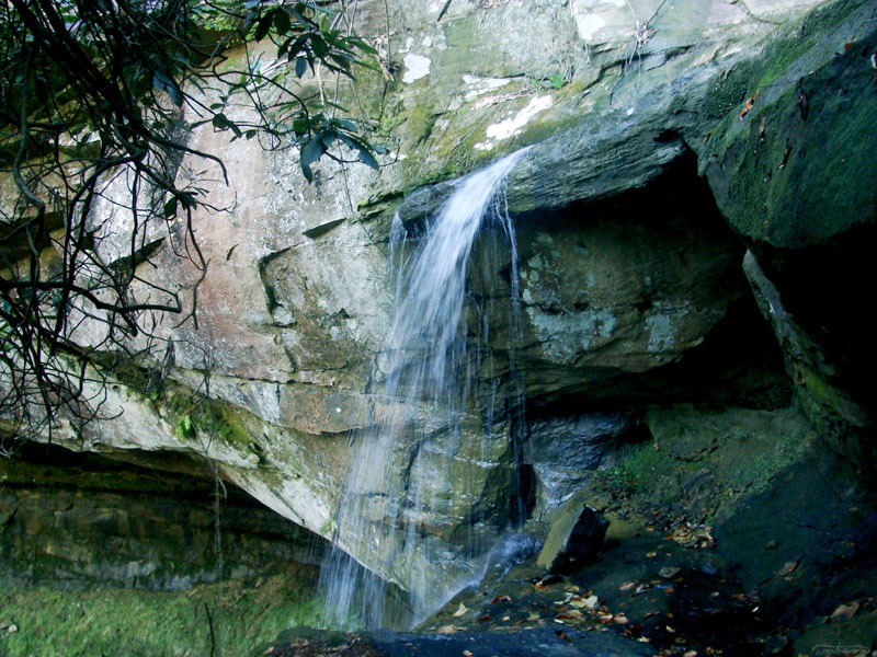 frolicingintheforest: For many years, we thought this was the only waterfall in the