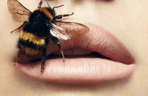 aqua-regia009: 1: Lana del Rey by Tom Ford2-3: Bee by Irving Penn, New York, 1995
