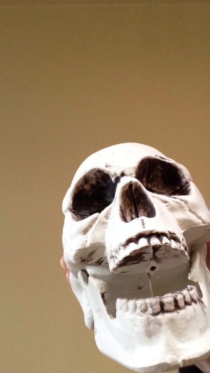 spoopytime-meeko: coopercinno: #humerus this site’s obsession with skeletons and bone-related 