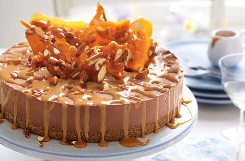 Chocolate cheesecake with almond brittle
