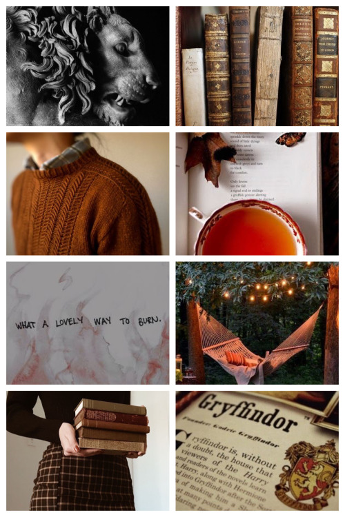 aneiria-writes:Gryffindor Pride Day 22nd March