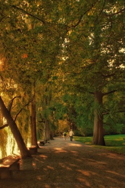 hansekind: Evening walk on the Isle of Mainau