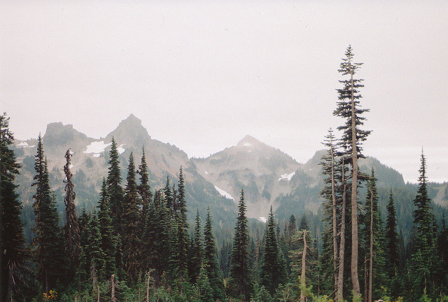 magicsystem:  untitled by dancewithwolves on Flickr. 