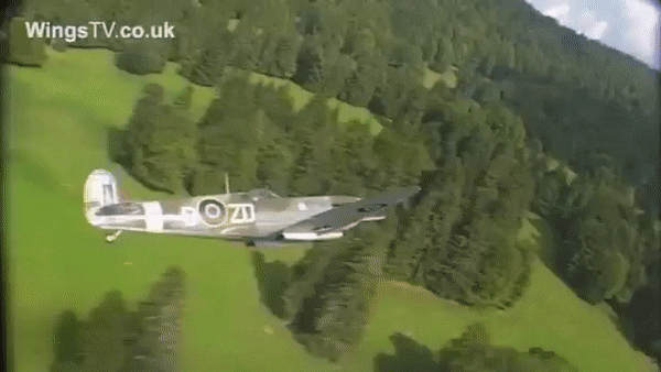 enriquemzn262:  Supermarine Spitfire