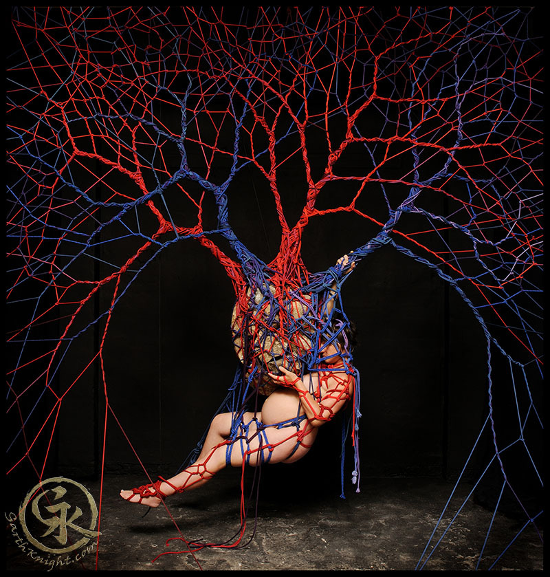 garthknight:  Blood Consciousness 2013  Stone heart Beating heart of the Earth Pumping