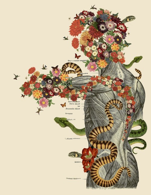 exhibition-ism: Incredible anatomical collage works from Travis Bedel - follow him on Tumblr HERE