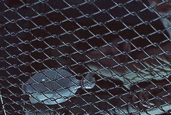 thewalkinggifs:  "I didn't want you in here." "I know, I had to." The Walking Dead - Internment  