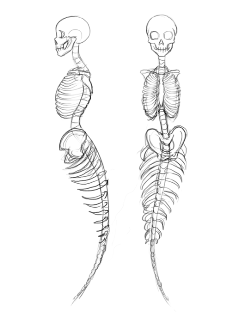 How To Draw Mermaids For MerMay Coming Up Next Month?