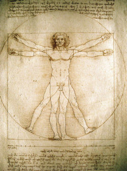 Renaissance-Art:  Leonardo Da Vinci C. 1492 Vitruvian Man 