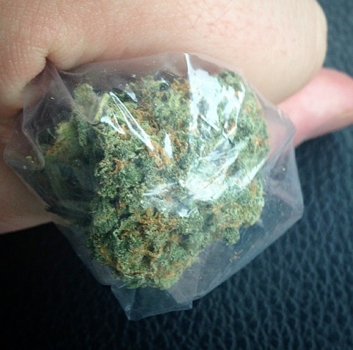 bongmeblazer:  Happiness in a bag